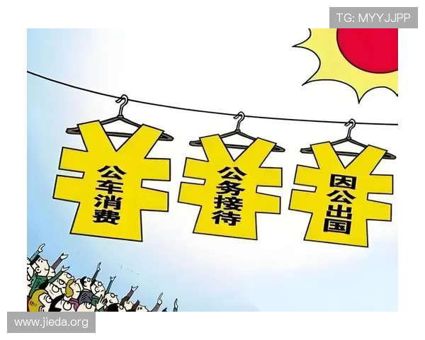 三公经费是哪三公详细介绍及其在政府财务中的具体应用分析